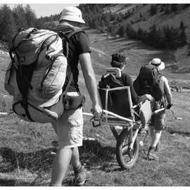 Foto von Bergwanderern mit Gehbehindertem im Rollkarren